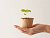 Save the planet – skip cleaning