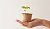Save the planet – skip cleaning